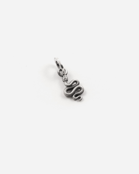 MINI CHARM COLGANTE...
